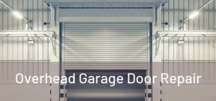Overhead Garage Door Repair